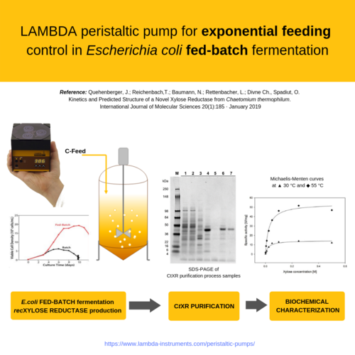 LAMBDA laboratory peristaltic pump used to control feeding in Fed-Batch fermentation
