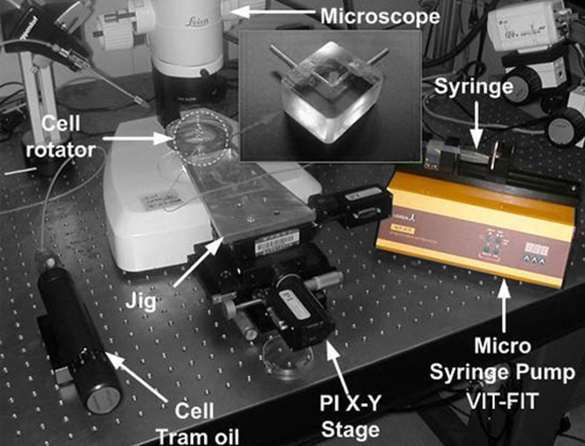 Programmable VIT-FIT syringe pump for microfluidic applications
