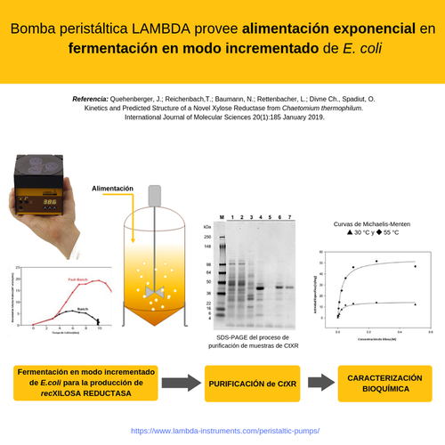 Bomba peristáltica LAMBDA controla alimentación exponencial precisa en fermentación