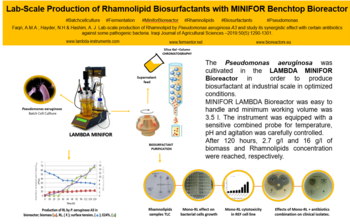 Lab-Scale Production of Rhamnolipid by Pseudomonas Aeruginosa A3 using MINIFOR LAMBDA Bioreactor