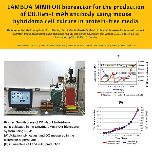 MINIFOR lab-scale bioreactor for monoclonal antibody production