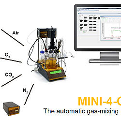 LAMBDA MINI-4-GAS automatic 4-gas station for cell culture