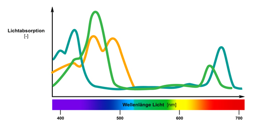 Lichtspektrum: Optimale Wellenlange für Ihre phototrophen Zellkulturen